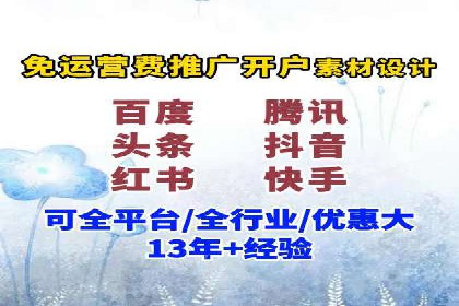 网络推广与竞价策略实战案例